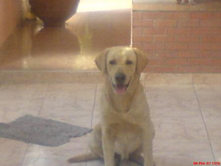 lolo -_-